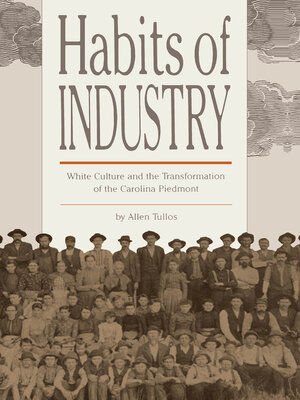 cover image of Habits of Industry